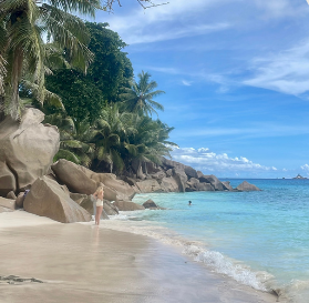 Read more about the article Seszele